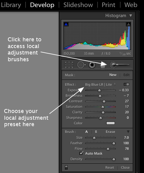 local-adjustment-preset-access