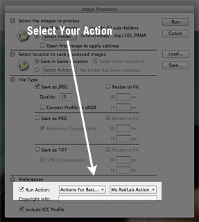 select-your-action