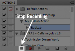 stop-recording-action