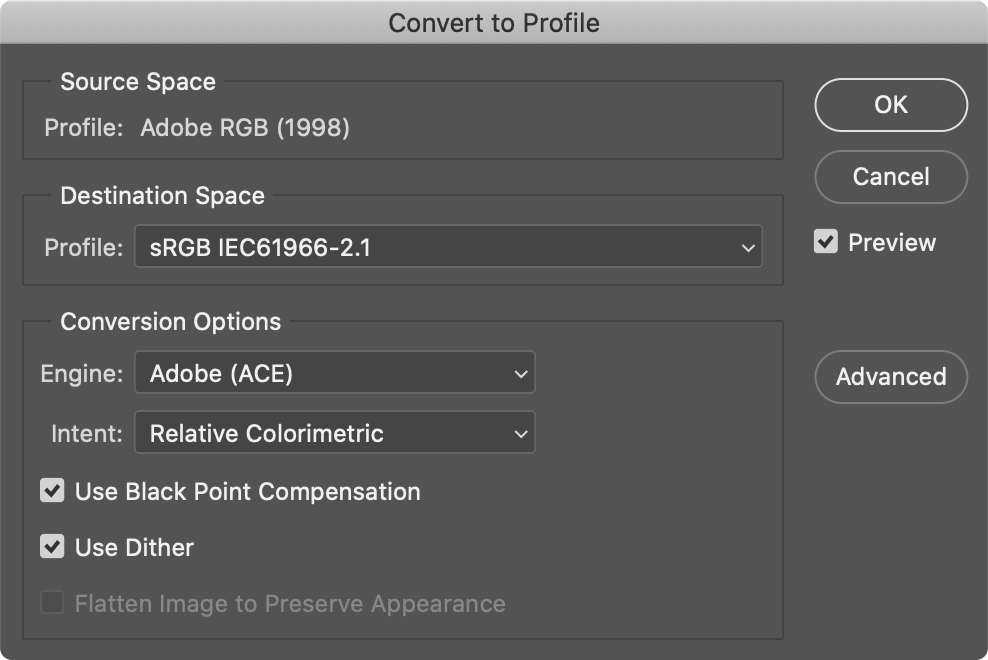 Convert To Profile Dialog