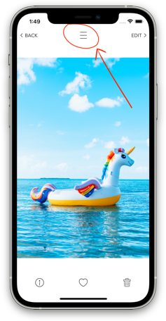 iPhone_12_Pro.png
